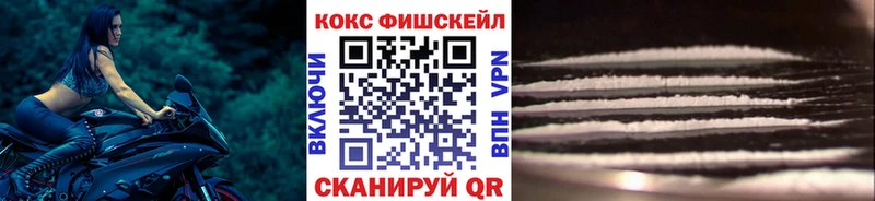 Cocaine FishScale  hydra ССЫЛКА  Пустошка 