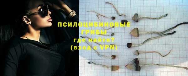 круглые Армянск