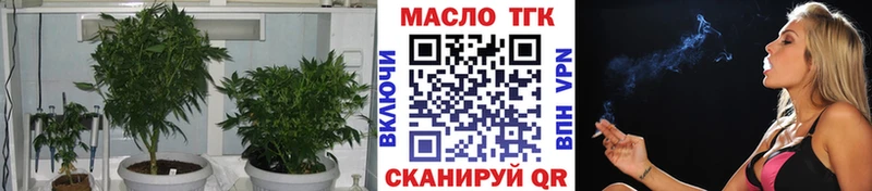 цены   мега сайт  ТГК THC oil  Пустошка 