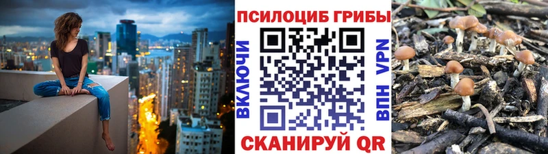 Галлюциногенные грибы GOLDEN TEACHER Пустошка